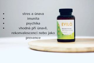 Máš náročné období nebo jen myslíš na prevenci? Maitake ti pomůže! 🌱 #evilo #maitake #maitakemushroom #healthy #vitamine...